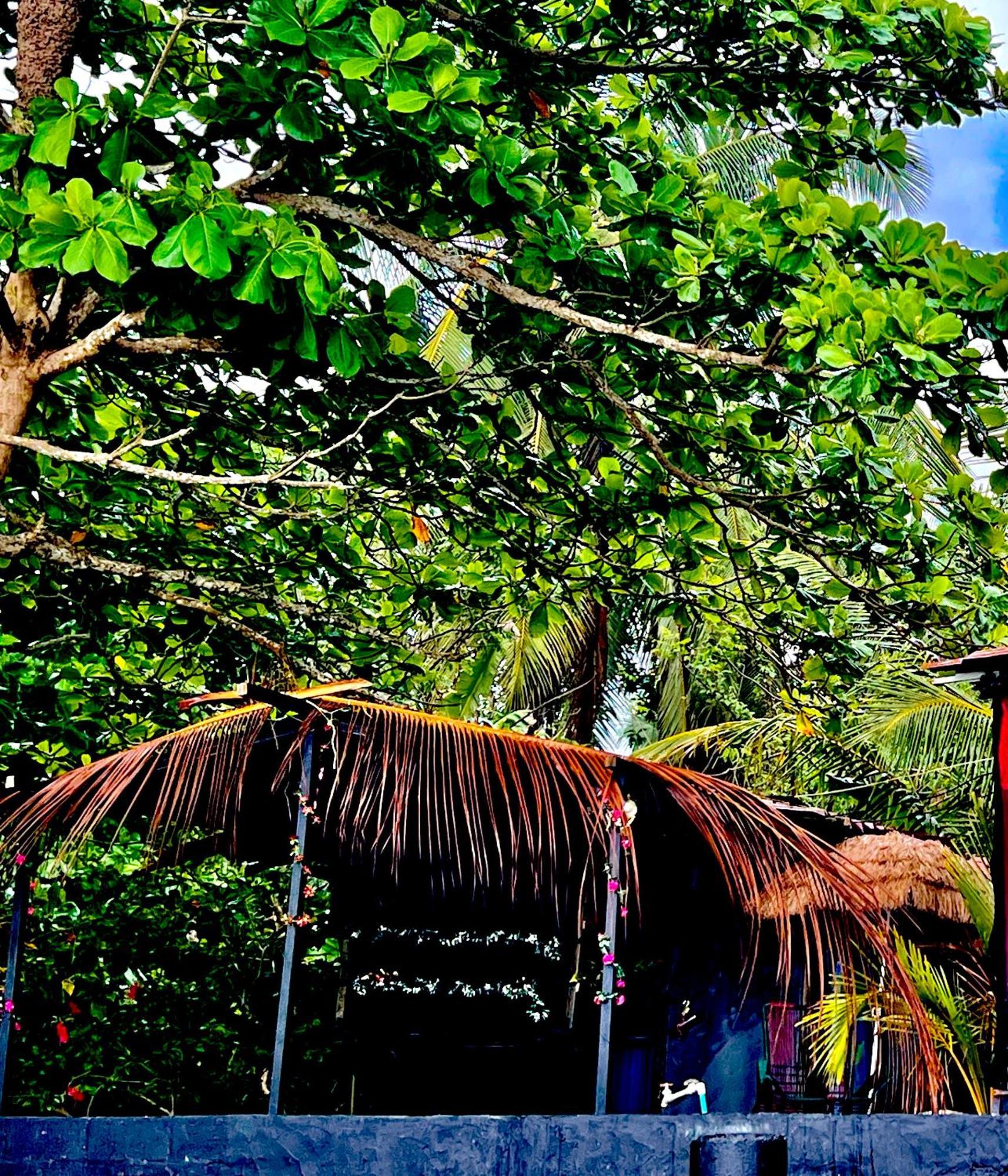 Beachfront Paradise Manuel Antonio Exteriér fotografie