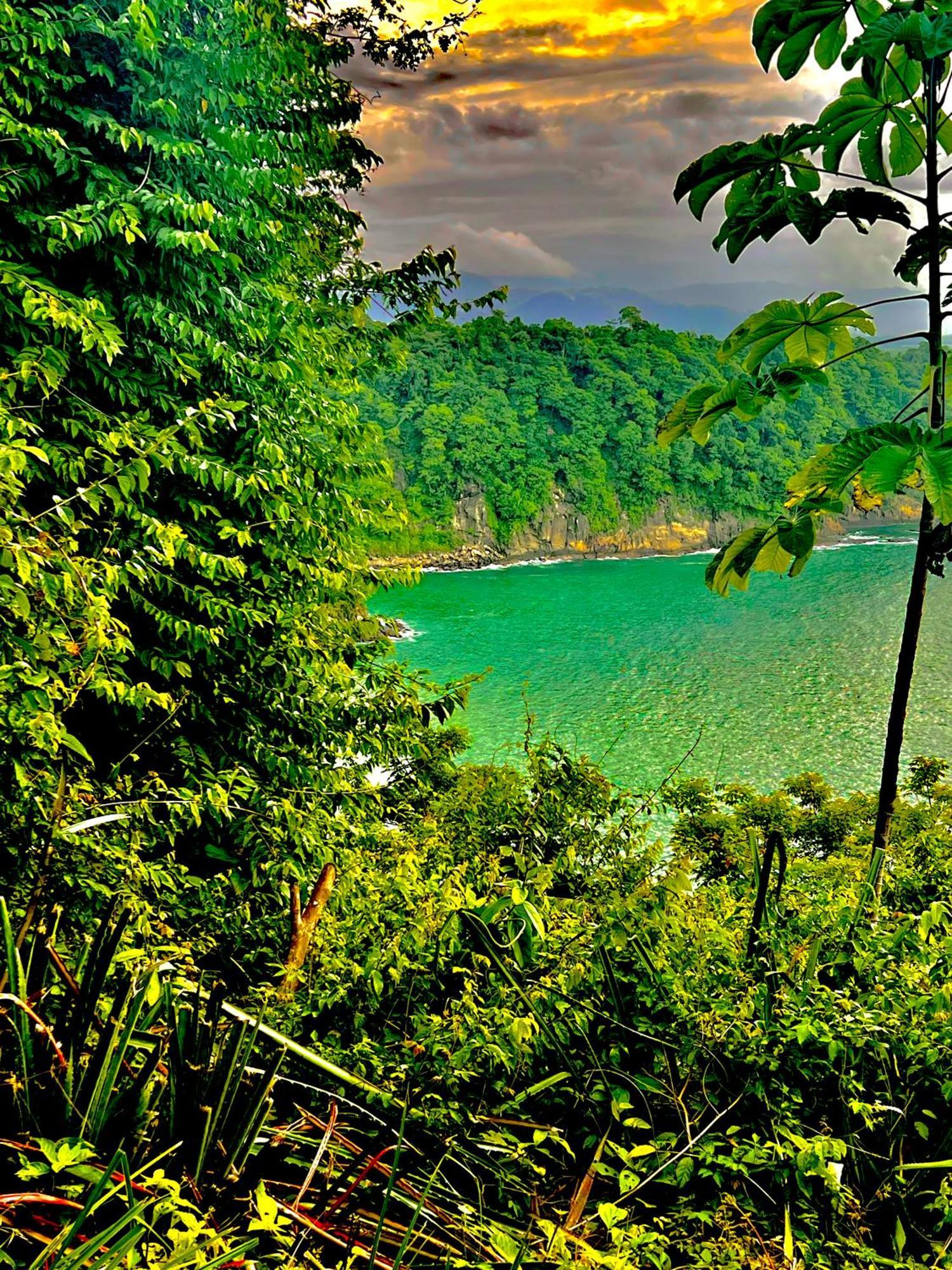 Beachfront Paradise Manuel Antonio Exteriér fotografie