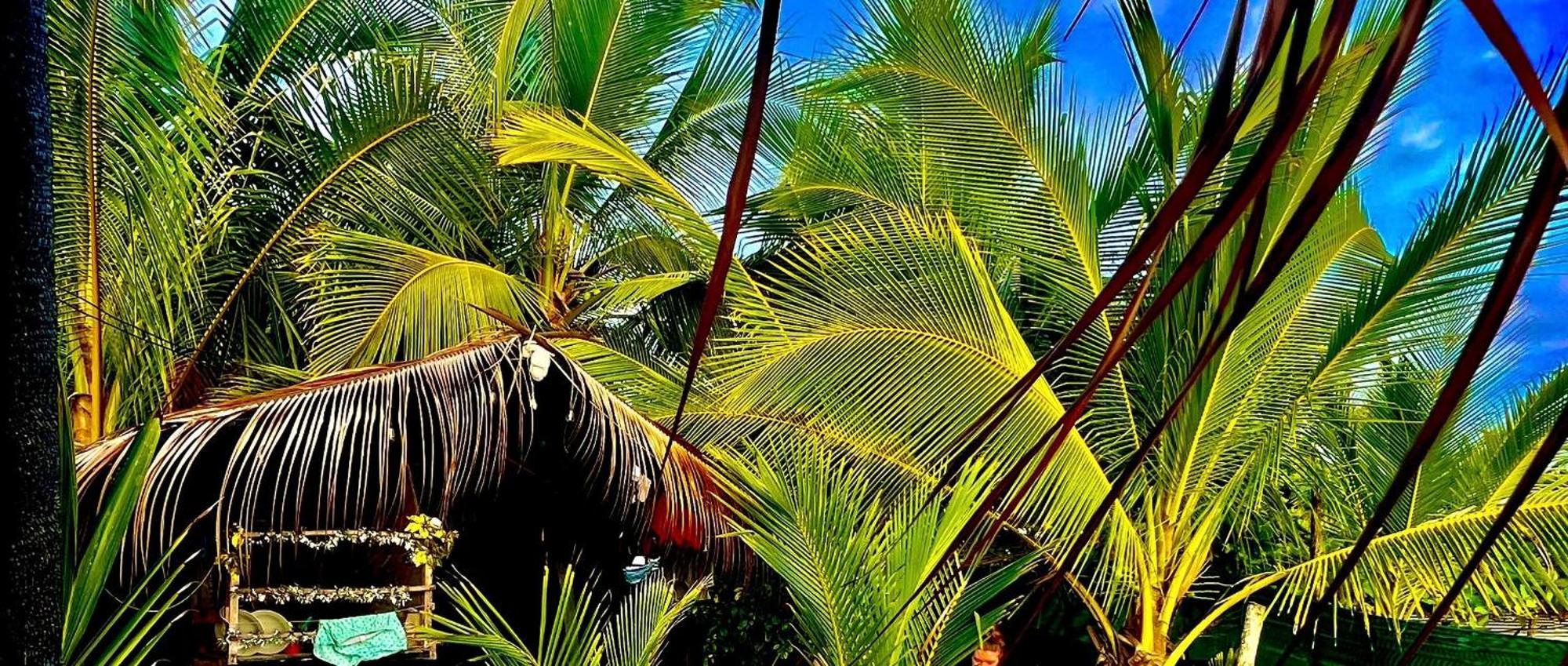Beachfront Paradise Manuel Antonio Exteriér fotografie