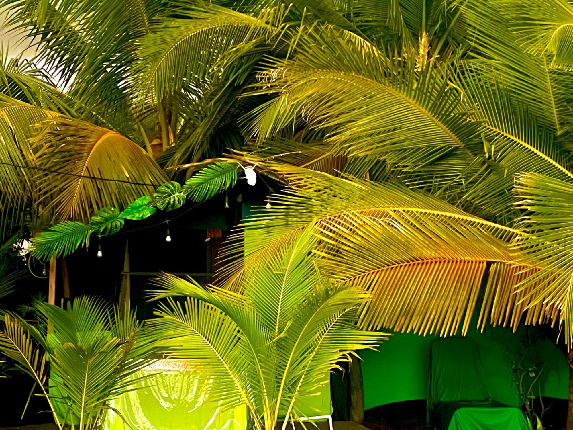 Beachfront Paradise Manuel Antonio Exteriér fotografie