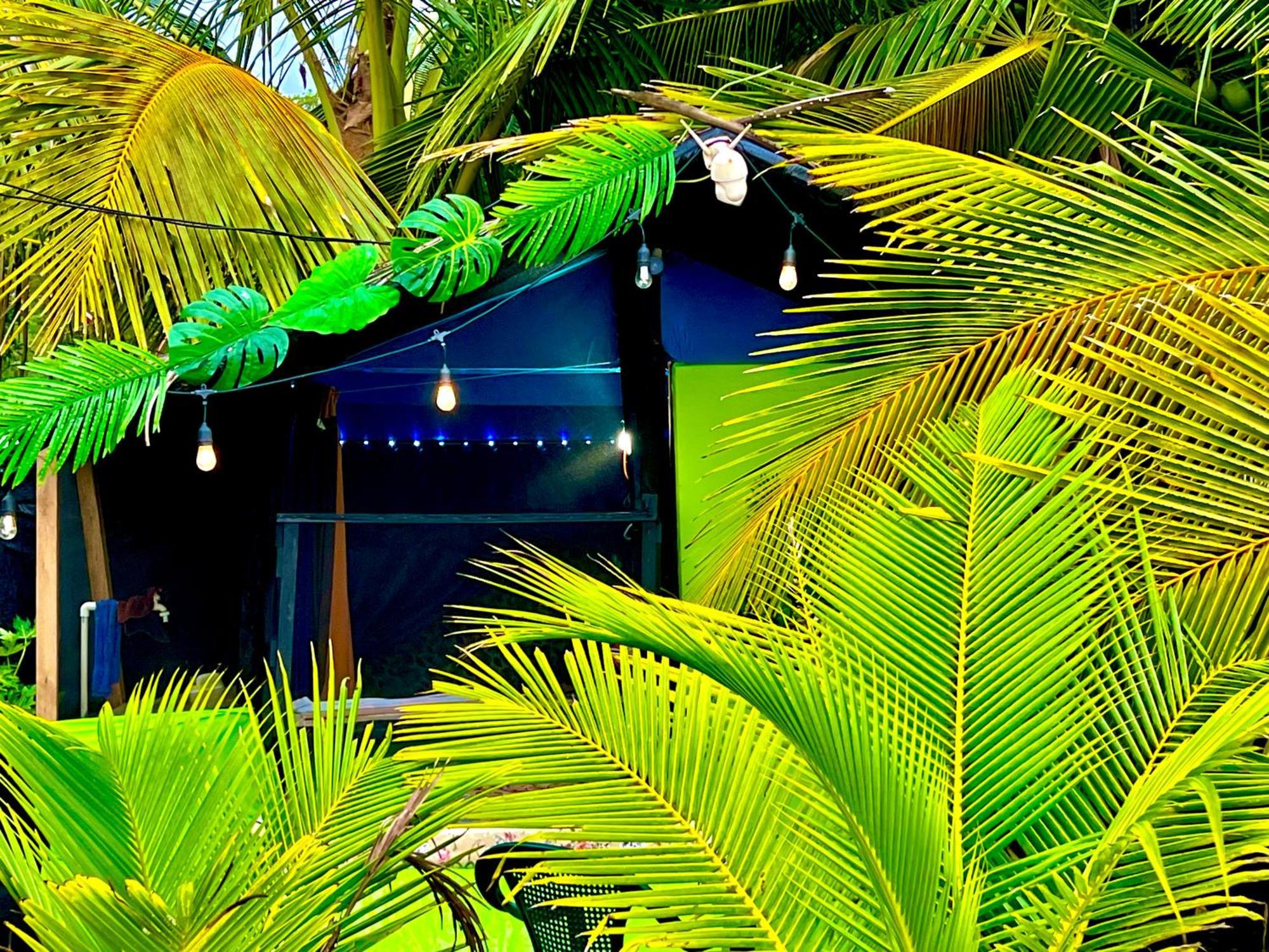 Beachfront Paradise Manuel Antonio Exteriér fotografie